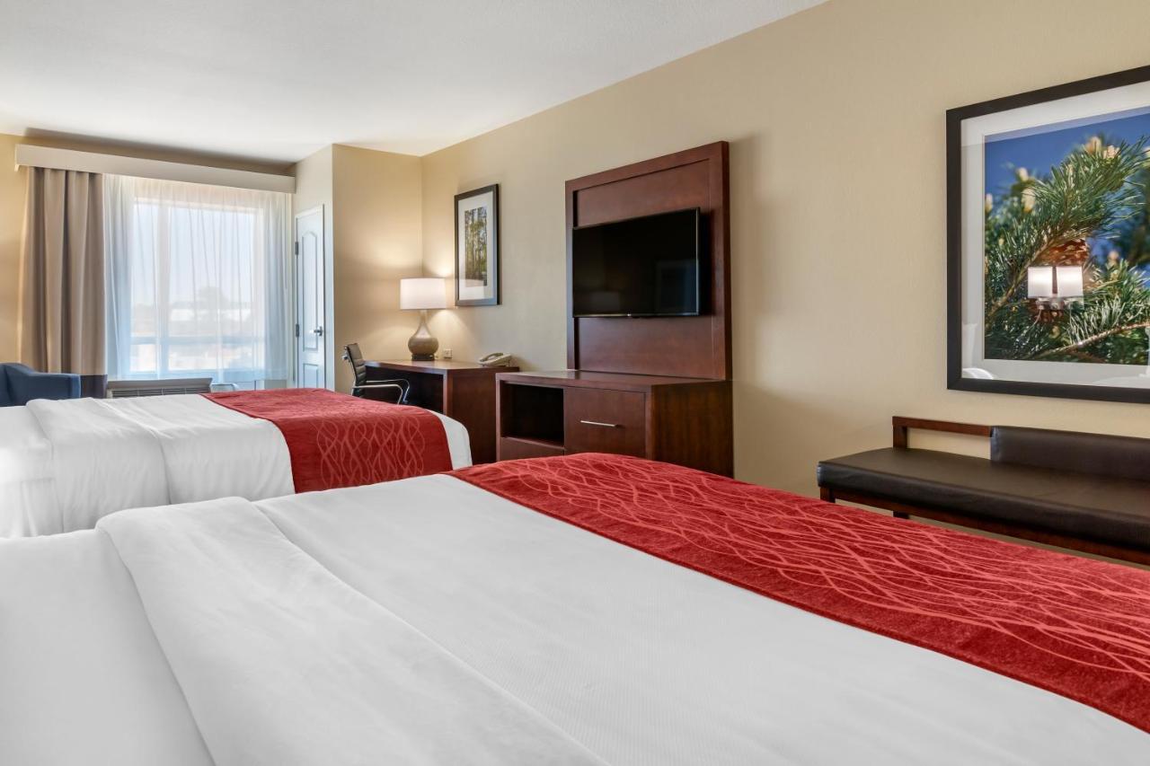 Comfort Inn And Suites Tifton Room photo
